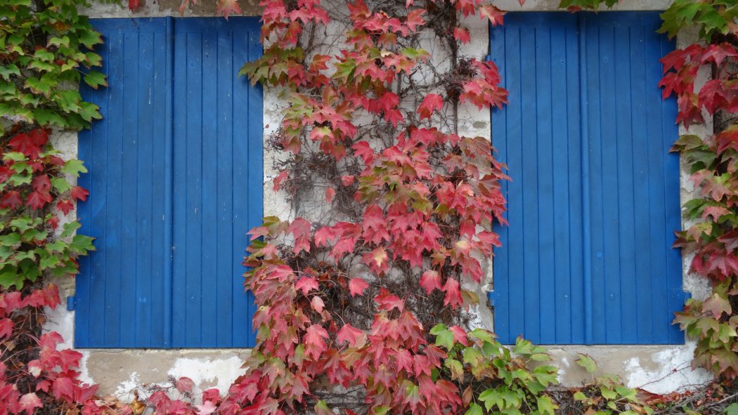 Choisissez vos volets avec soin : donnez du caractère à votre maison !