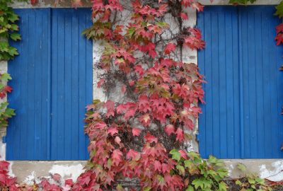 Choisissez vos volets avec soin : donnez du caractère à votre maison !