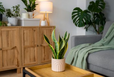 Comment organiser votre espace avec des meubles fonctionnels et design ?